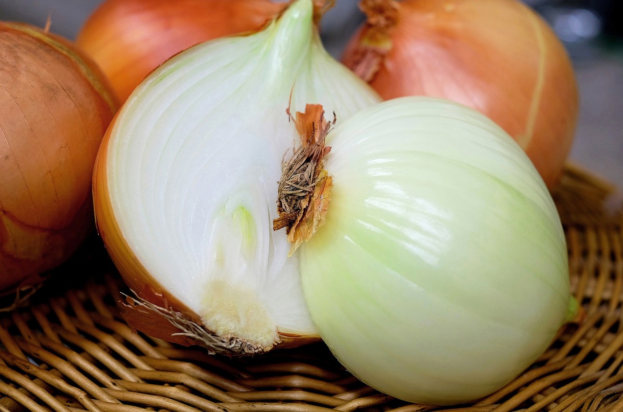 Como plantar cebola em vaso - Reprodução: Pixabay