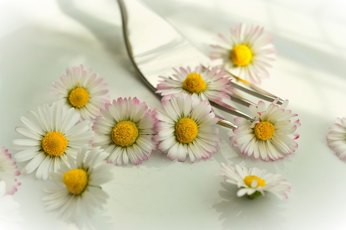 Flores comestíveis-Reprodução: Pixabay