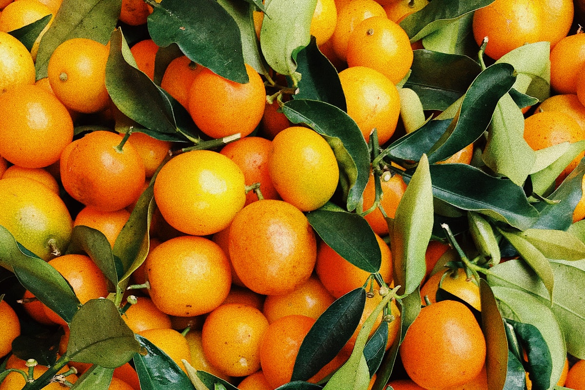 Cascas de laranja - Foto: Pexels