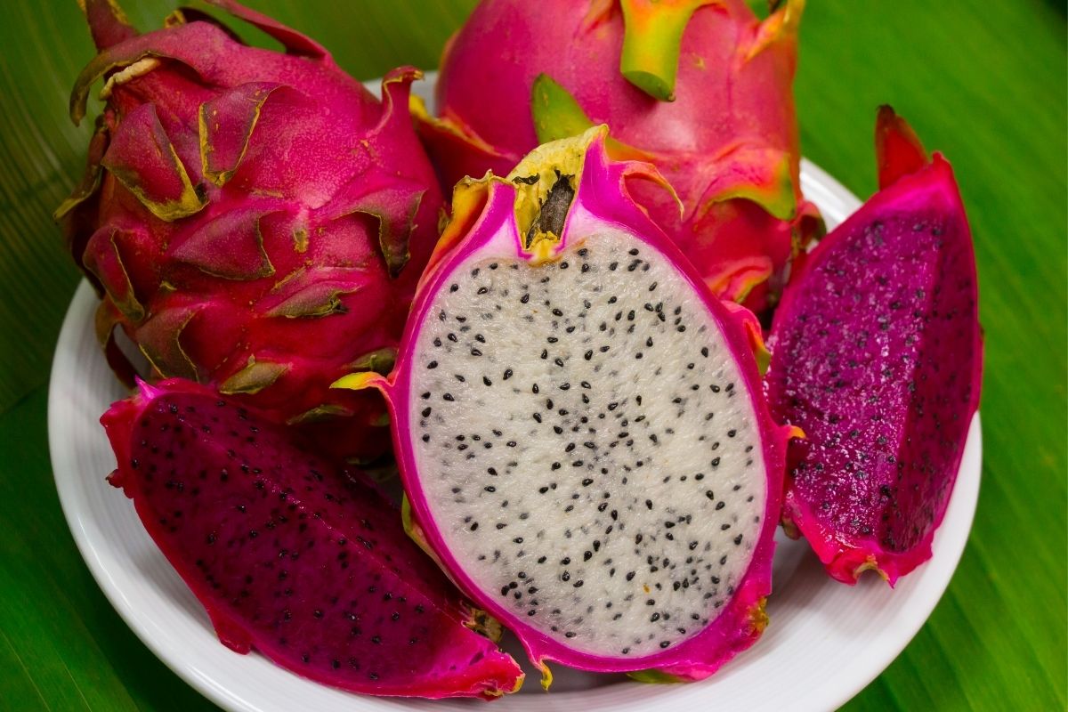 Como consumir pitaya: veja aqui maneiras super simples de incluir essa maravilhosa fruta em sua dieta - Reprodução: Canva