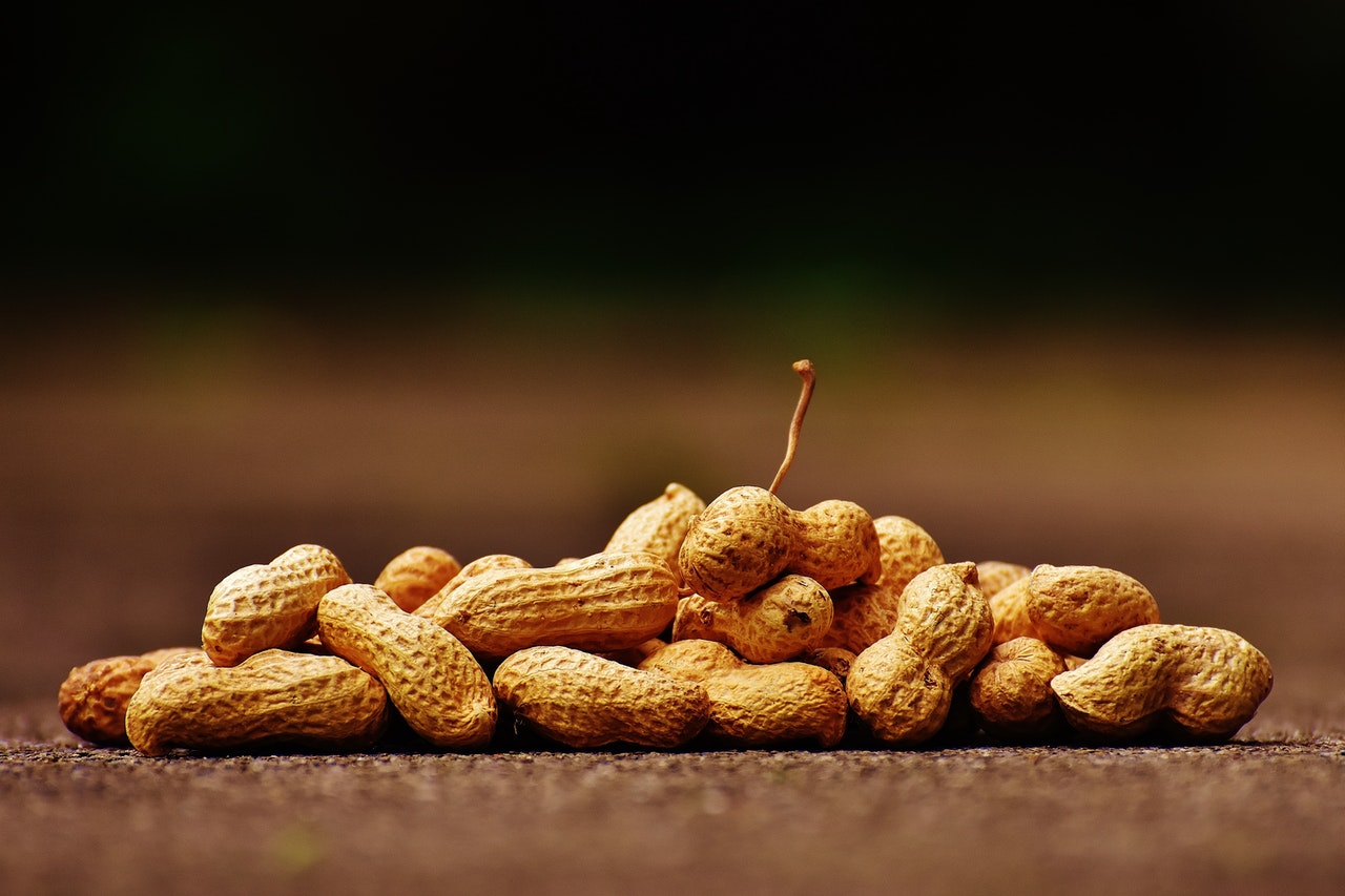 Como cultivar amendoim - Reprodução: Pexels