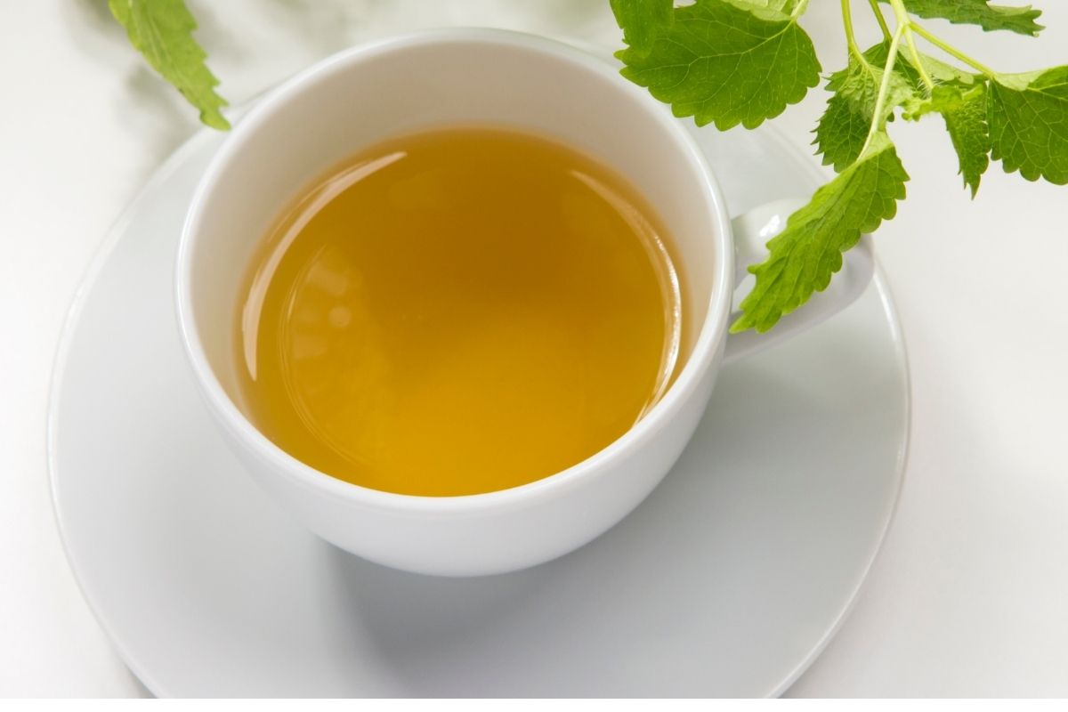 Para que serve o chá de erva-cidreira? Melhore seu humor e seu intestino com essa infusão extraordinária - Reprodução: Canva