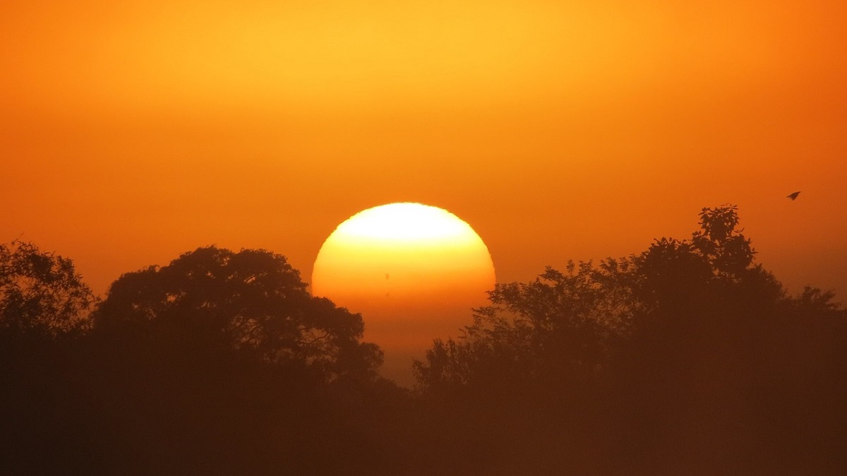 Mato Grosso: governador aposta em aumento do turismo. Foto: Pixabay